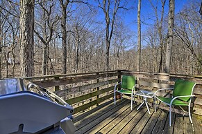 Pet-friendly Cabin w/ Dock on Claytor Lake!