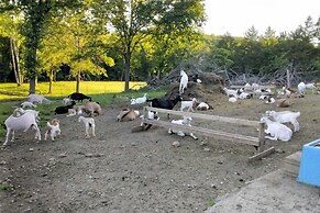Unique Creekside Escape - Enjoy On-site Goats!