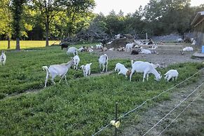 Unique Creekside Escape - Enjoy On-site Goats!
