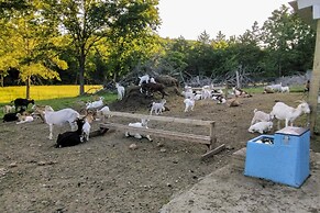 Unique Creekside Escape - Enjoy On-site Goats!