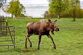 Home w/ Kachemak Bay View - 5 Miles to Downtown!