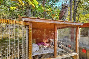 Historic Keystone Cabin Near Mount Rushmore!