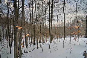 Resort-style Harbor Springs Home Near Ski Resort!