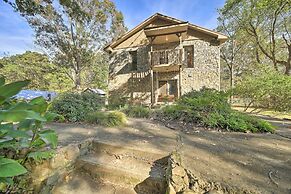 Eclectic Asheville Abode w/ Backyard Oasis!