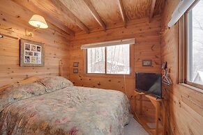 Waterfront Nelson Lake Cabin w/ Boat Dock!