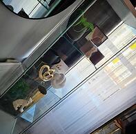 Exotic Jacuzzi Apartment With Balcony & Parking