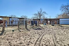 Cozy Las Cruces Apt on Pecan & Horse Farm!