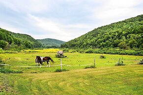 Pet-friendly Roxbury Farmhouse on 350 Acres!