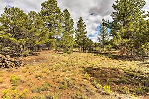 Cozy Buena Vista Apartment < 4 Mi to Main Street!