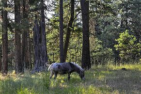 Ashland Cabin on 170 Acres w/ Mtn Views & Sauna!
