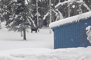 Peaceful Nature Escape w/ Deck in North Pole!