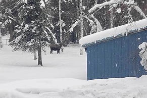 Peaceful Nature Escape w/ Deck in North Pole!