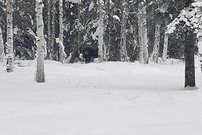 Peaceful Nature Escape w/ Deck in North Pole!