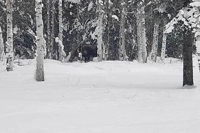 Peaceful Nature Escape w/ Deck in North Pole!