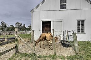 Charming Farmhouse w/ Pool & Fishing Pond!