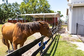 Pet-friendly Punta Gorda Vacation Rental w/ Patio!