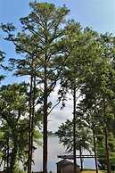 Frankston Home W/deck & Fishing on Lake Palestine!