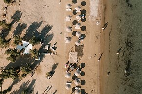 Filanthi The Project