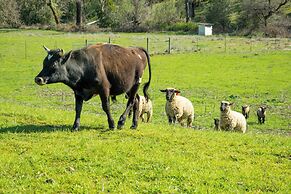 Stunning Hopland Vacation Rental w/ Pool & Hot Tub