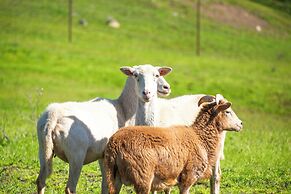 Stunning Hopland Vacation Rental w/ Pool & Hot Tub