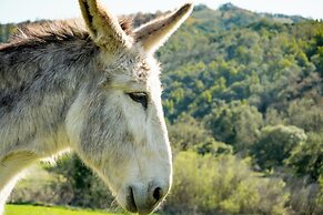 Stunning Hopland Vacation Rental w/ Pool & Hot Tub