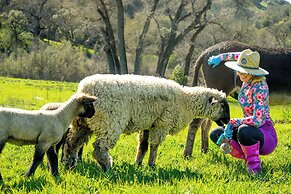 Stunning Hopland Vacation Rental w/ Pool & Hot Tub