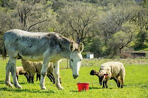 Stunning Hopland Vacation Rental w/ Pool & Hot Tub