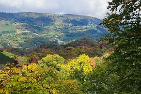 Near Ski Areas: Mtn-view Banner Elk Cabin