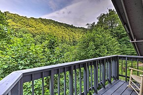 Idyllic Roan Mountain Cabin Across From Creek