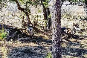 Large Ruidoso Home w/ Stunning Views & Hot Tub!