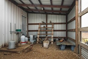 Pheasant Game Farm Missouri Vacation Rental!