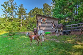 Rustic & Authentic Farm Stay by Dupont Forest!