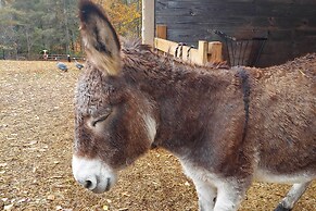 Rustic & Authentic Farm Stay by Dupont Forest!