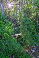Shaw Creek Cottage w/ Fire Pit & Forest Views