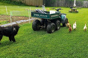 Bring a Pet: Smoky Mtn Vacation Rental w/ Yard!