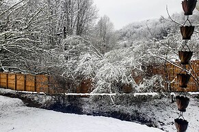 Bring a Pet: Smoky Mtn Vacation Rental w/ Yard!