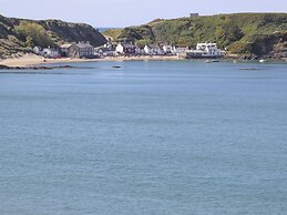 Brigwyn