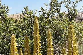 El sueño de Andalucia