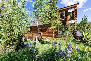 Custom Craftsman Chalet Fenced Yard for Pets Aspen Views Hot Tub