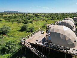 KUOOM SERENGETI