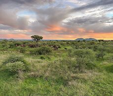 KUOOM SERENGETI
