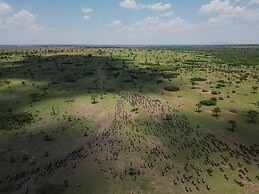 KUOOM SERENGETI
