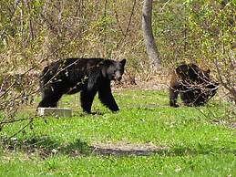 Stewart Mountain Lodge