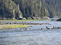 Stewart Mountain Lodge