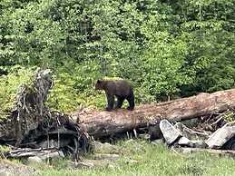 Stewart Mountain Lodge