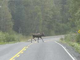Stewart Mountain Lodge