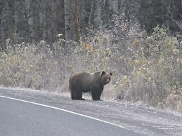 Stewart Mountain Lodge