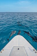 Niru Isle Maldives