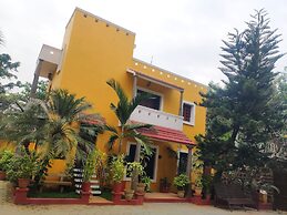 Poppys Olive De Villa