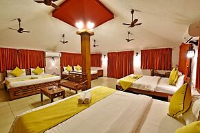 Poppys Olive De Villa